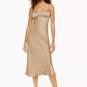 Aritzia Wilfred Landscape Dress